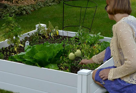 <strong><span style="font-family:Times New Roman;">PVC Planter Box</span></strong><br> <link href="https://fonts.googleapis.com/css?family=Times New Roman" rel="stylesheet" type="text/css">