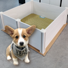 OEM PVC dog Whelping Box Supplier