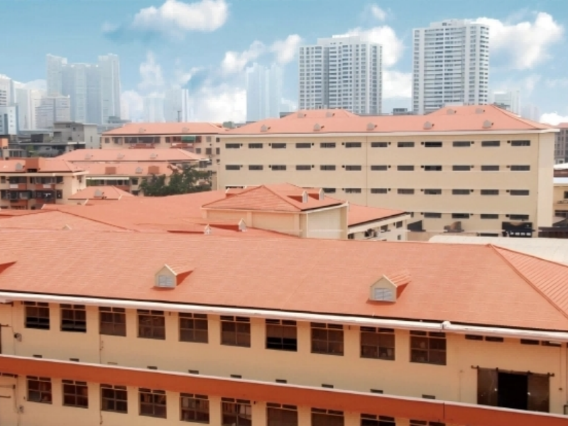 5 Tips To Extend The Life of ASA Roof Tiles