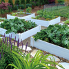 OEM raised Garden Beds Supplier