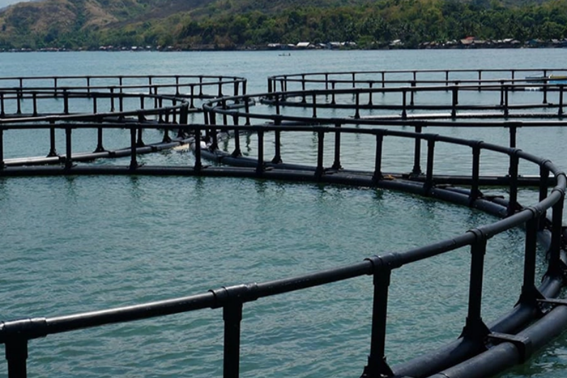 How To Ensure The Safety of Deep-Sea Cages in Resisting Wind And Waves?