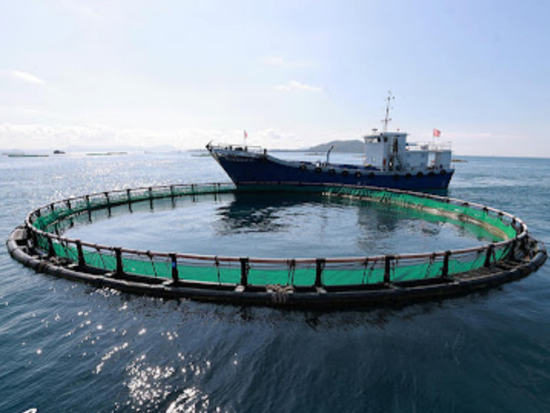 Three Steps To Improve The Corrosion Resistance of Deep-Sea Cages