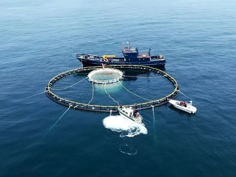 Analysis of The Strength And Durability of Deep-Sea Cage Materials