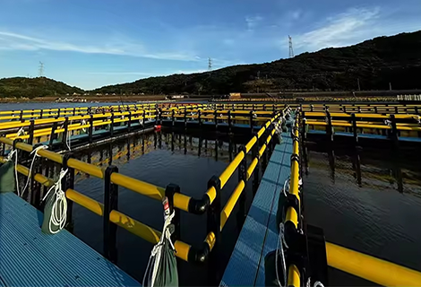 <strong><span style="font-family:Times New Roman;">Deep-sea Aquaculture Cages</span></strong> <link href="https://fonts.googleapis.com/css?family=Times New Roman" rel="stylesheet" type="text/css">
