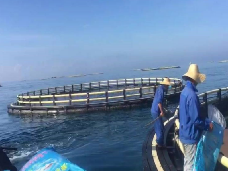 Successful Cases of Deep-Sea Cages in Salmon Farming Projects