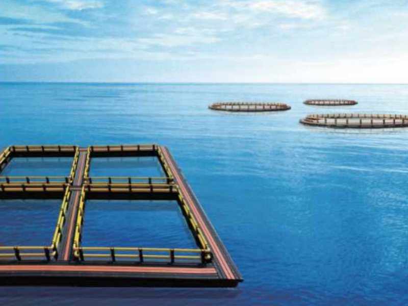 Application of Deep-Sea Cages in Distant-Ocean Aquaculture
